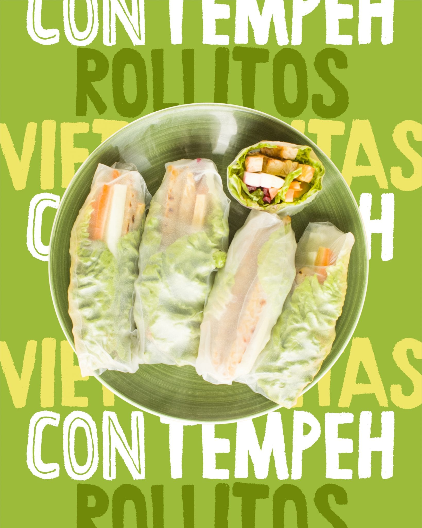 rollitos-vietamitas-ecocesta