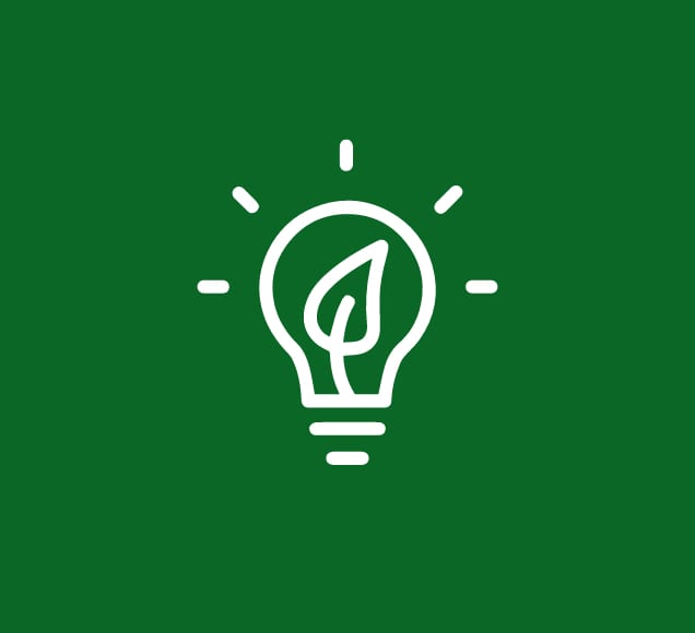 Ecocesta - Innovacion