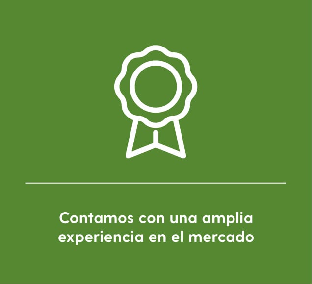 Ecocesta - Experiencia de mercado