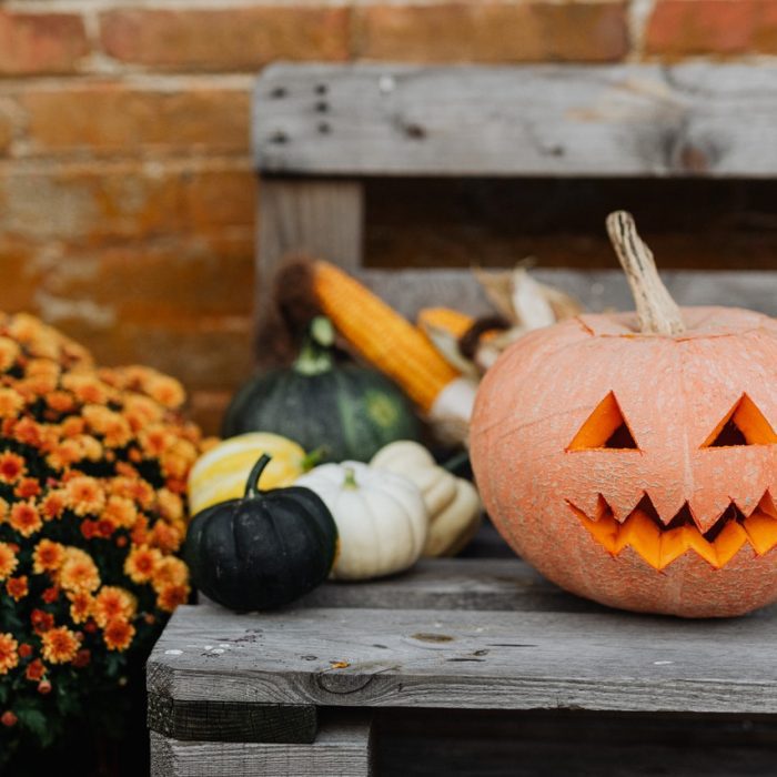 Halloween verde: ideas para celebrar halloween de manera más ecológica