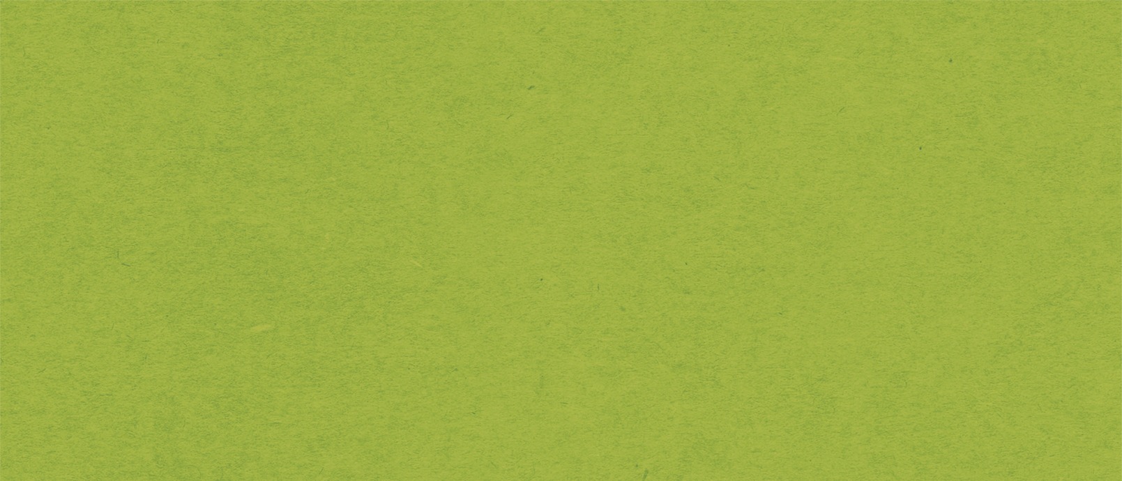 Textura Somos BCORP